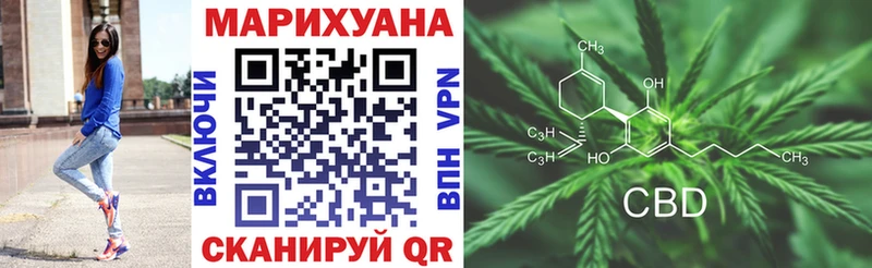 Марихуана сатива  Кущёвская 
